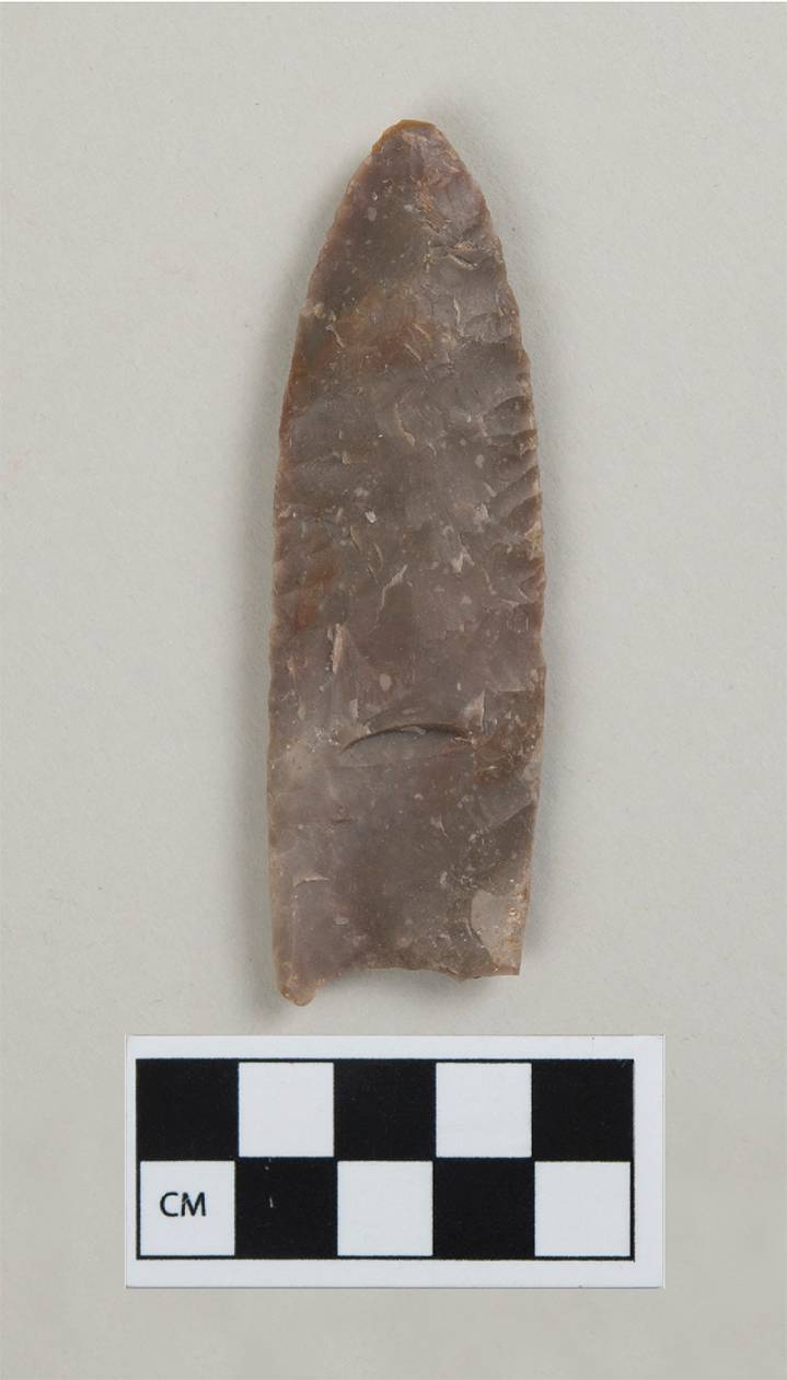 New research shows Ice Age hunters likely used Clovis points against